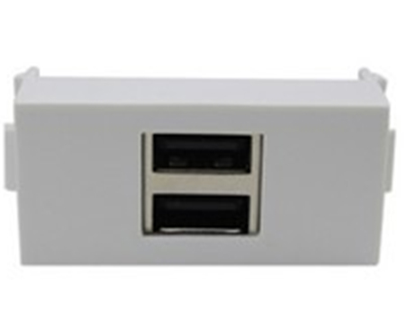 USB直插式A母對雙A母輸出帶放大組合面板模块